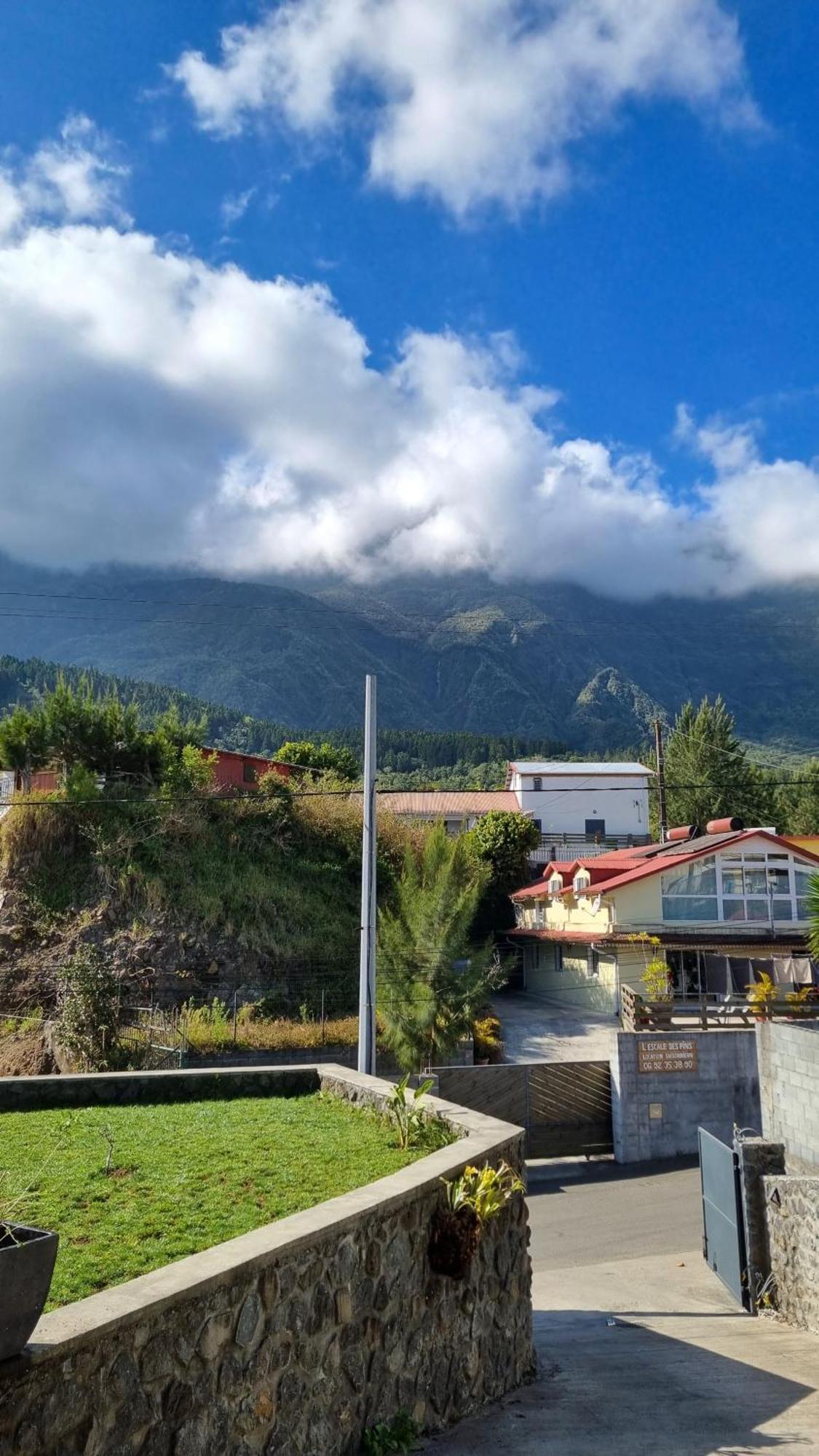 Villa Des Pins By Kaz'Ida Cilaos Ngoại thất bức ảnh